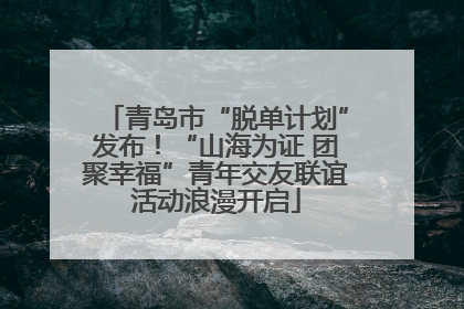 青岛市“脱单计划”发布！“山海为证 团聚幸福”青年交友联谊活动浪漫开启